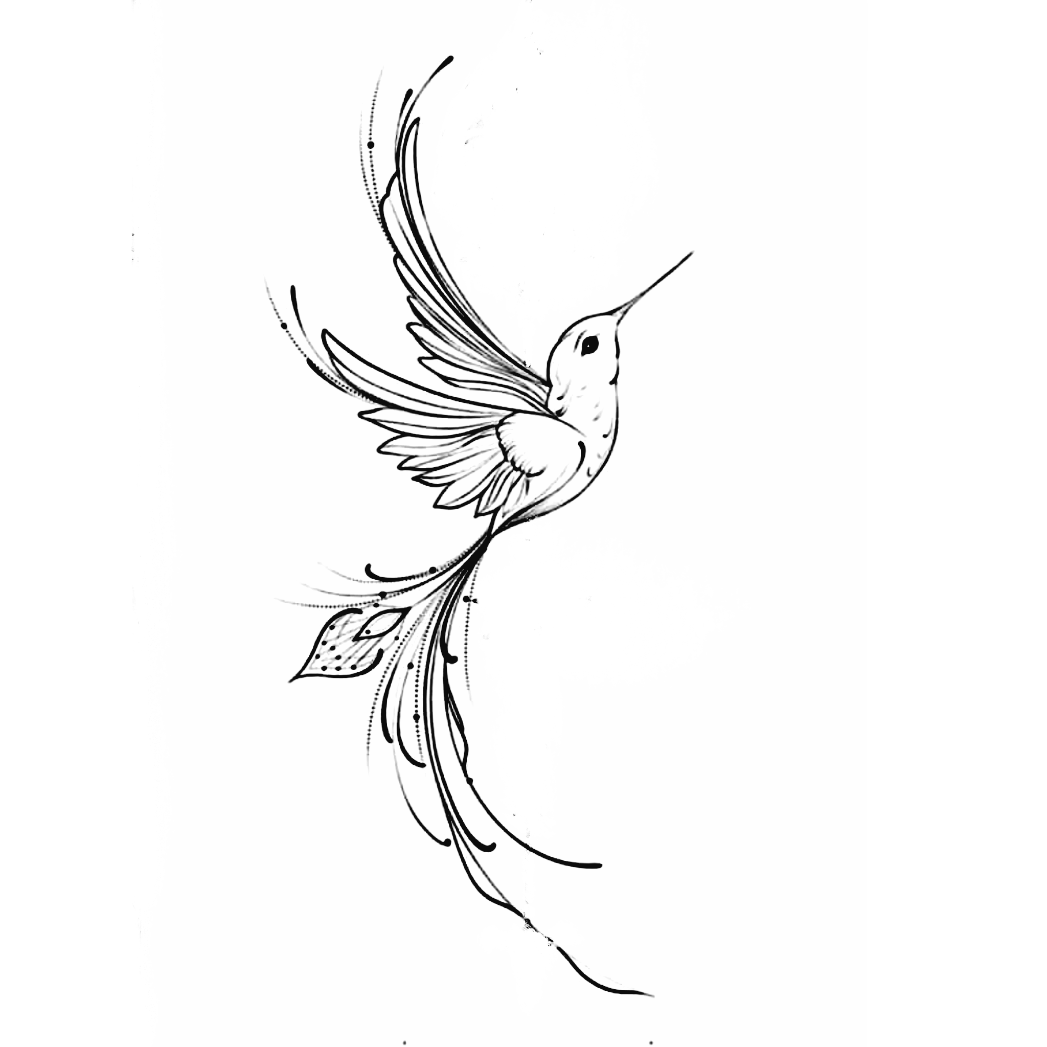 hummingbird tattoo ideas 0049