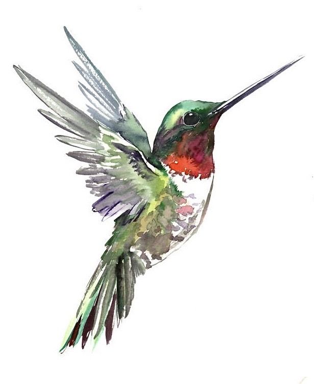 hummingbird tattoo ideas 0055