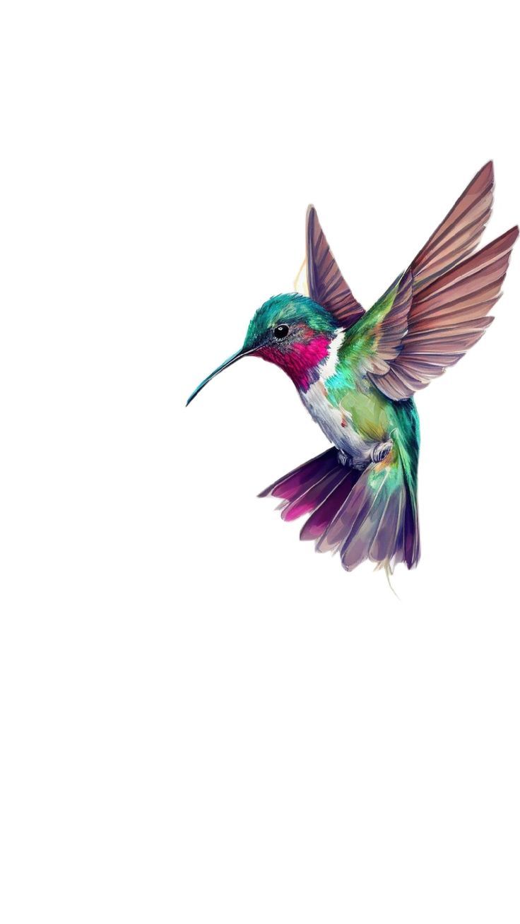 hummingbird tattoo ideas 0061