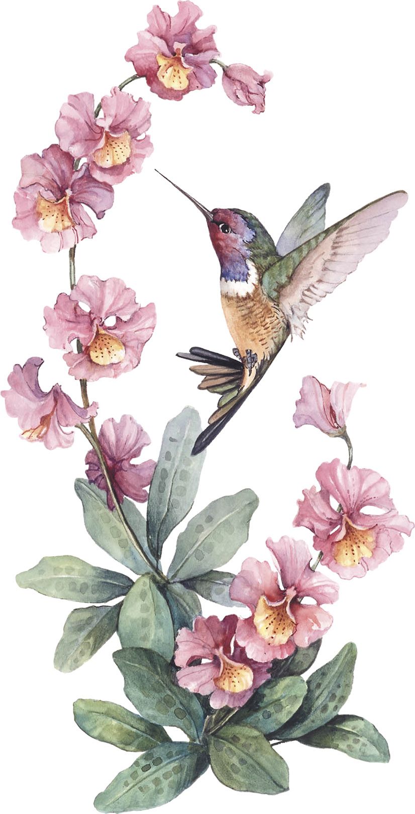 hummingbird tattoo ideas 0062