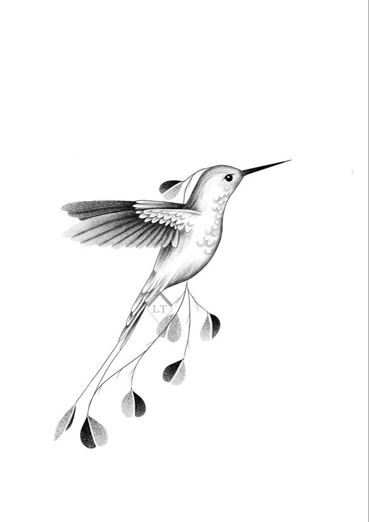 hummingbird tattoo ideas 0063