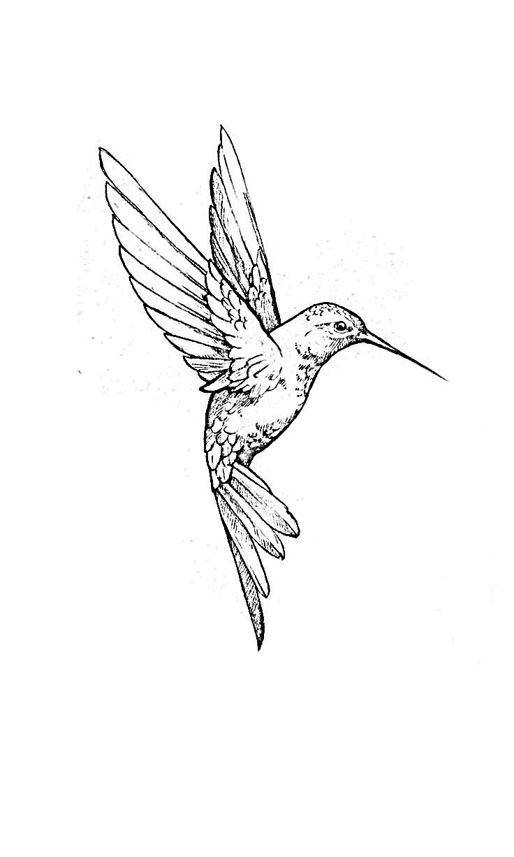 hummingbird tattoo ideas 0065