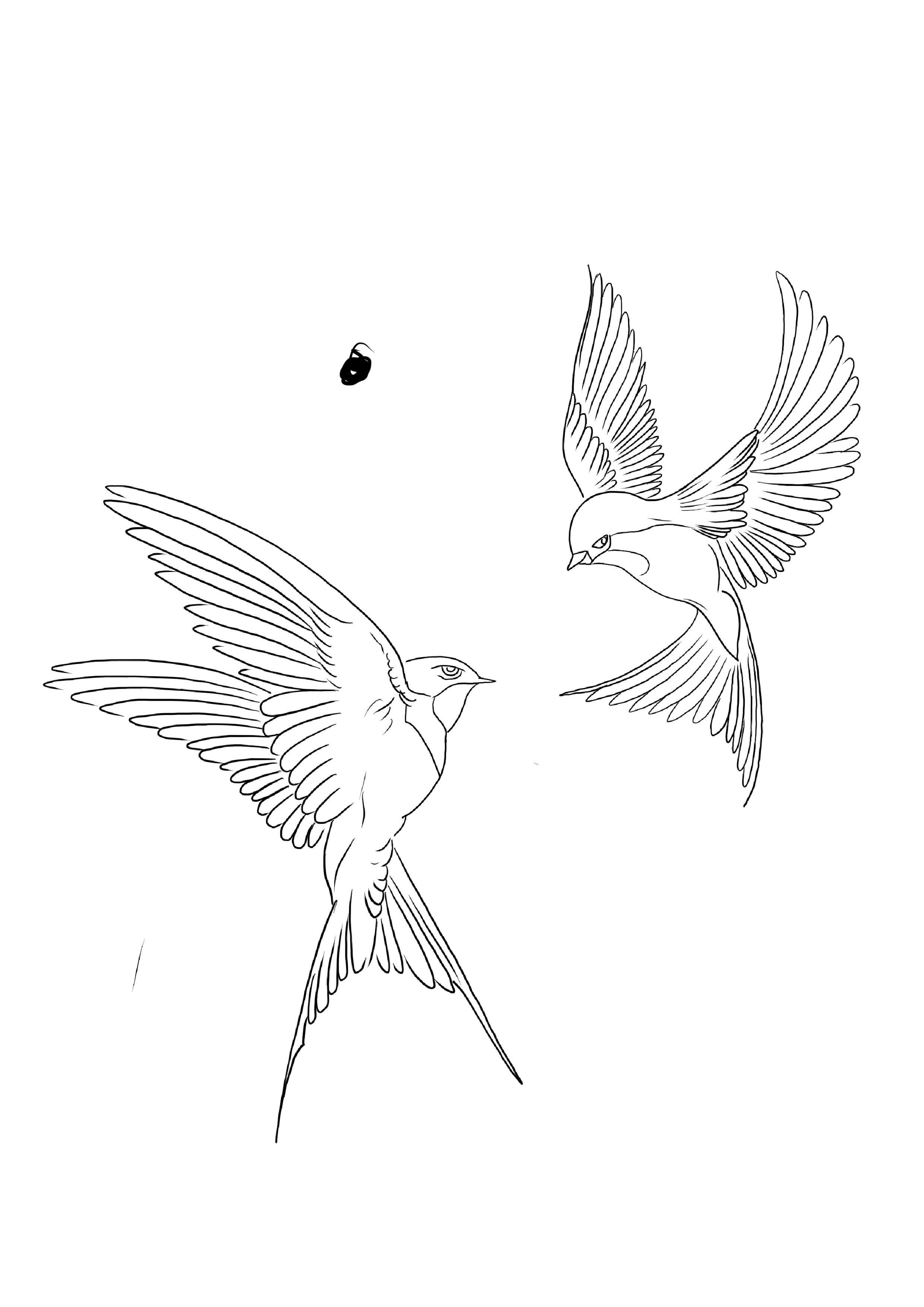 hummingbird tattoo ideas 0068