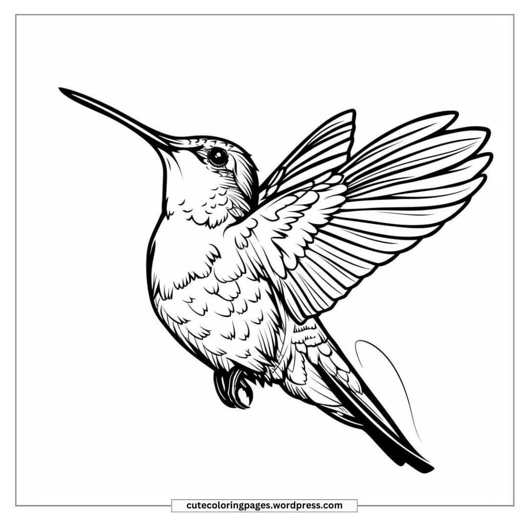 hummingbird tattoo ideas 0074