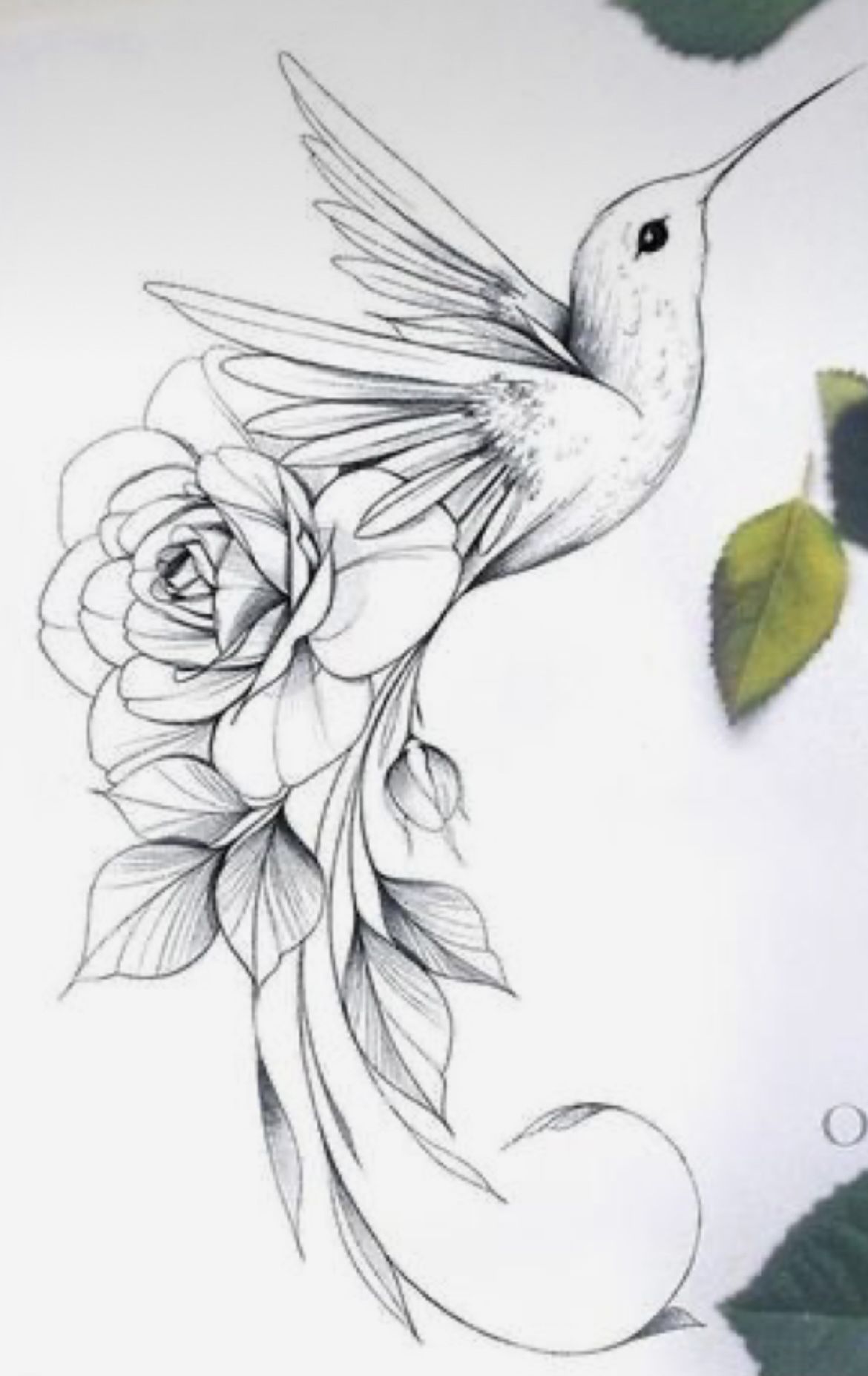 hummingbird tattoo ideas 0075