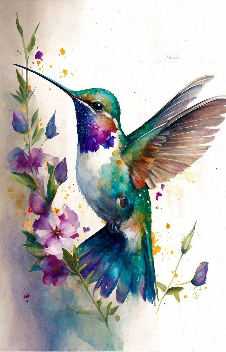 hummingbird tattoo ideas 0082