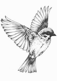 hummingbird tattoo ideas 0084