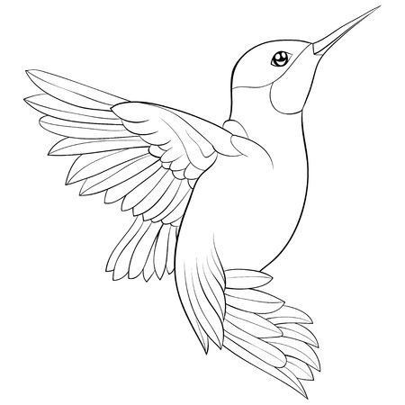 hummingbird tattoo ideas 0090