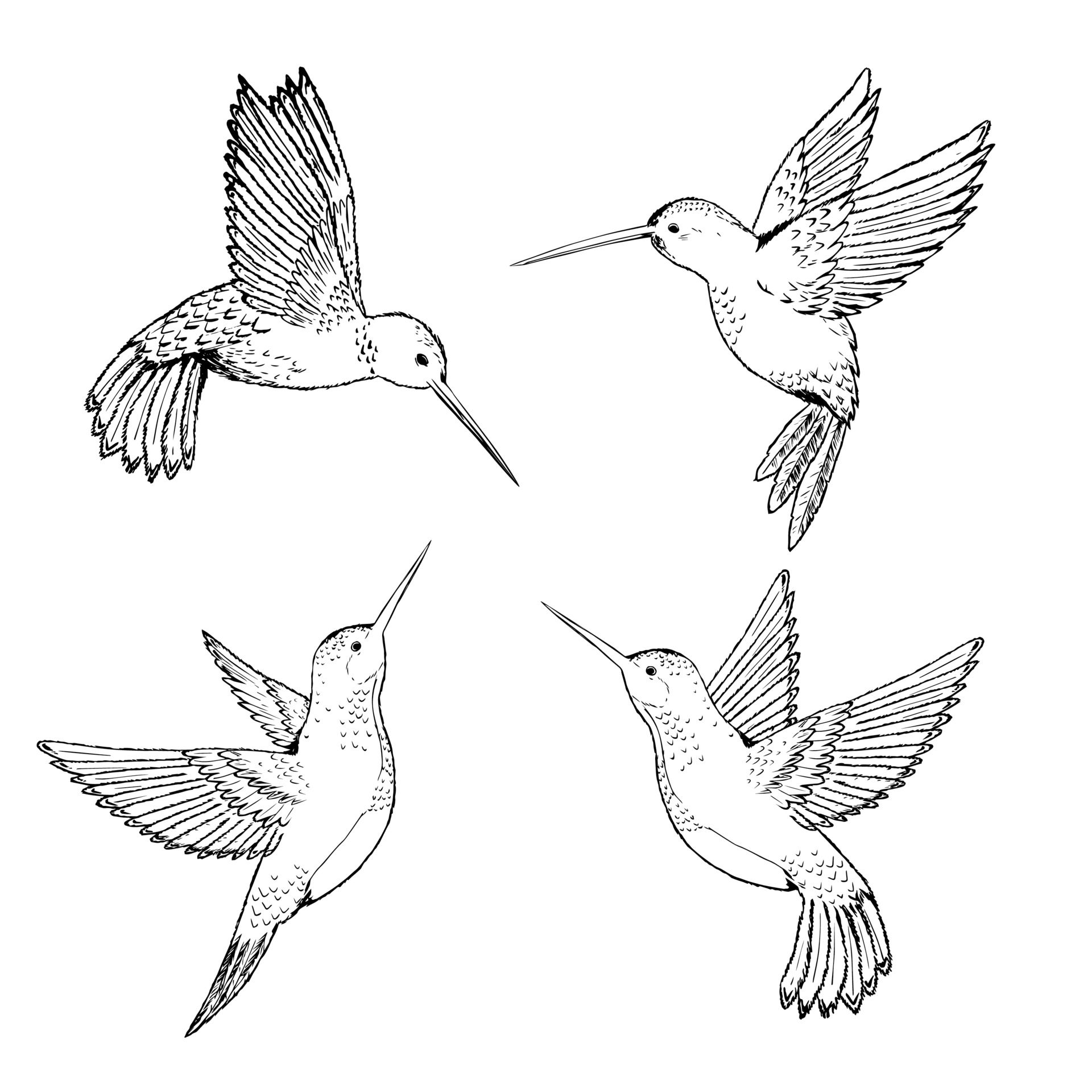 hummingbird tattoo ideas 0096