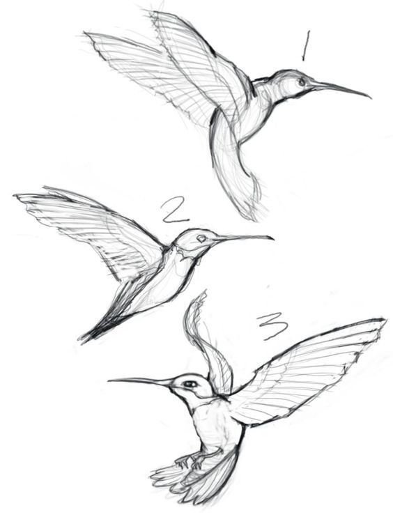 hummingbird tattoo ideas 0097