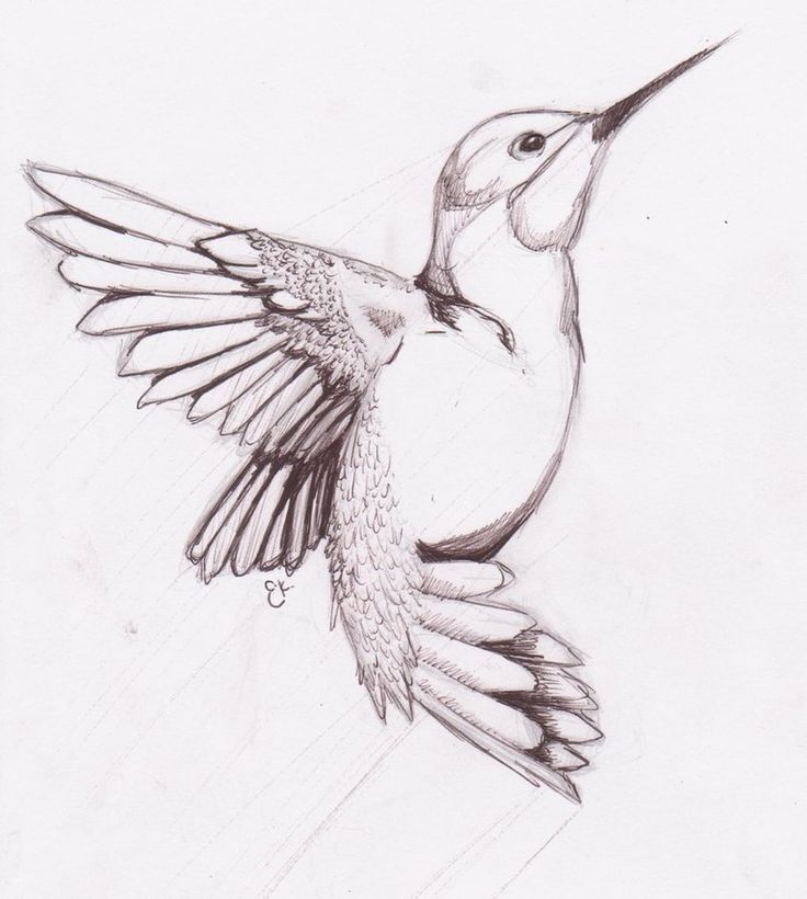 hummingbird tattoo ideas 0099