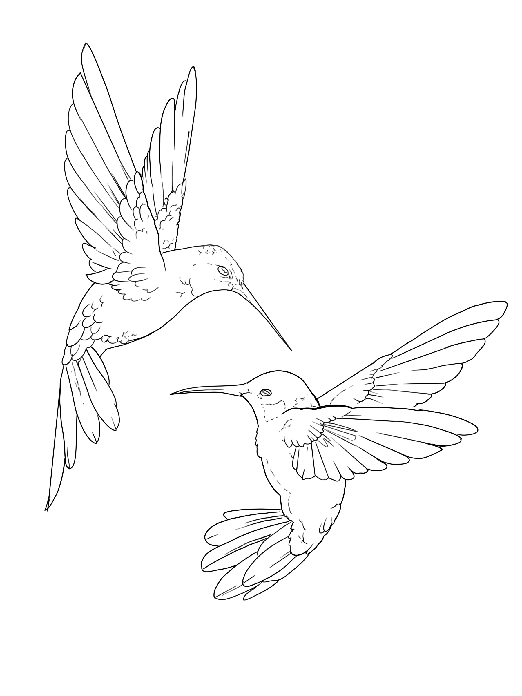 hummingbird tattoo placement suggestions