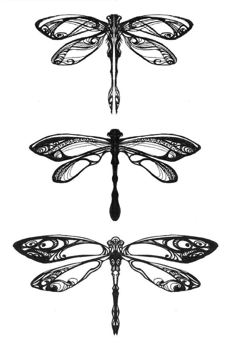 intricate dragonfly tattoo sketches.