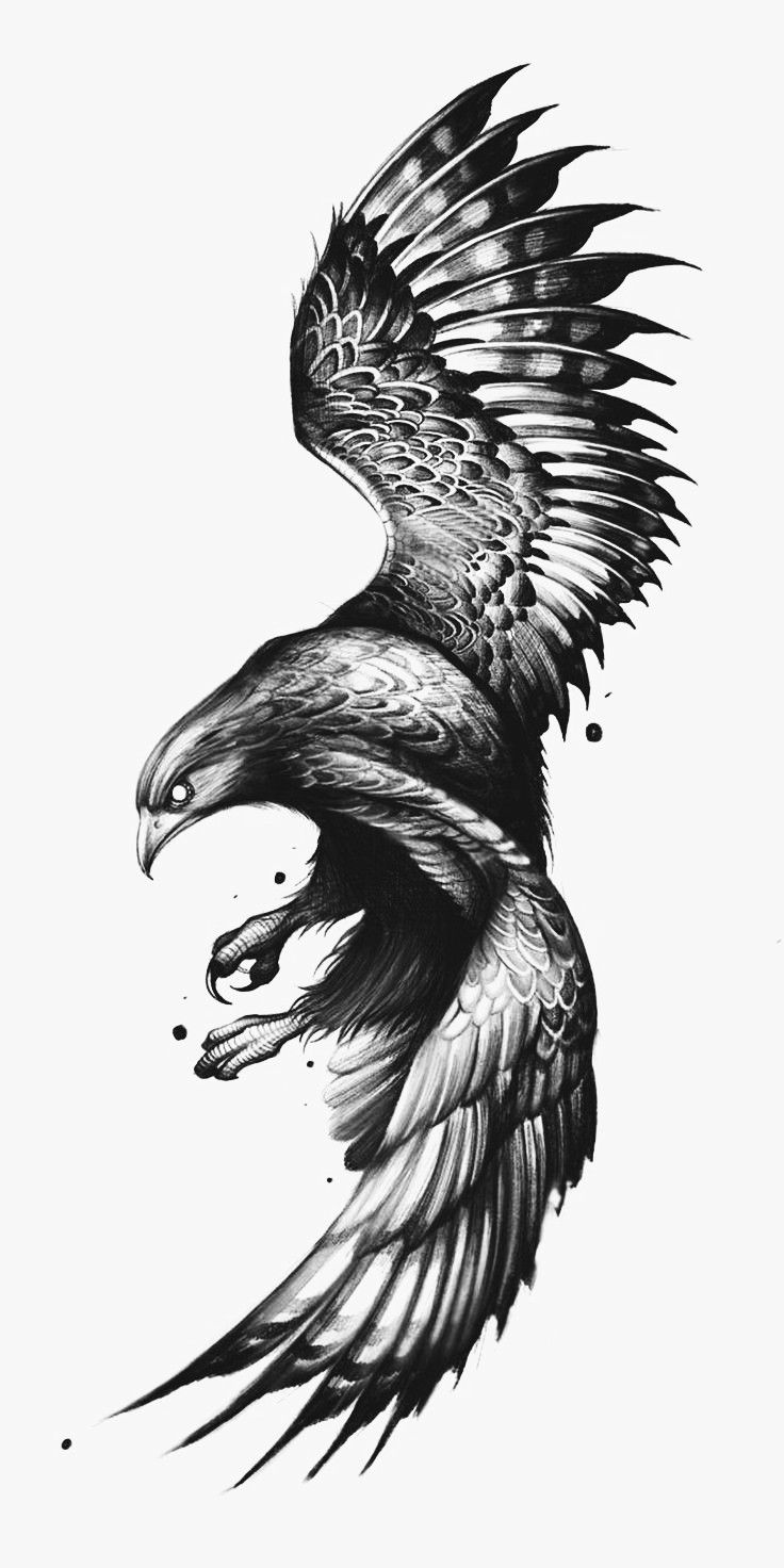 intricate hawk tattoo patterns