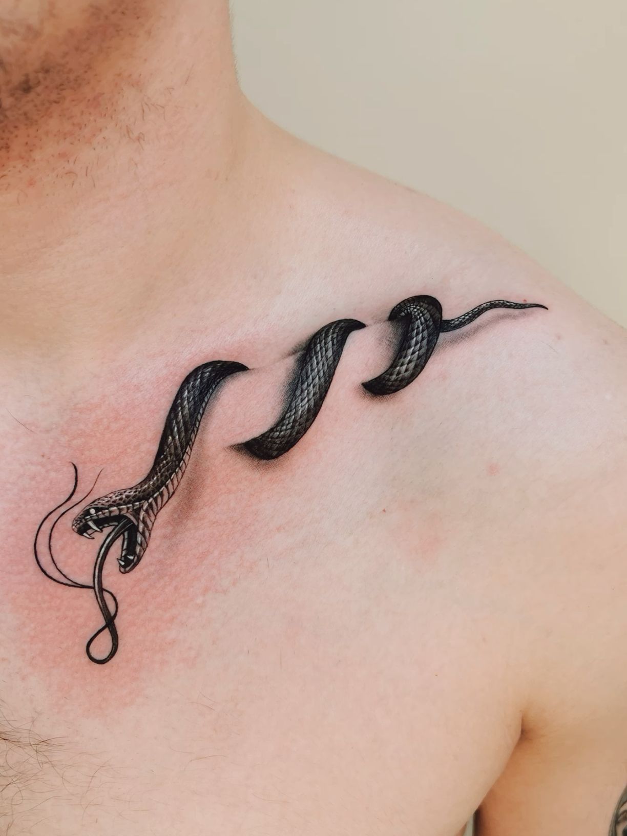 intricate snake tattoo illustrations