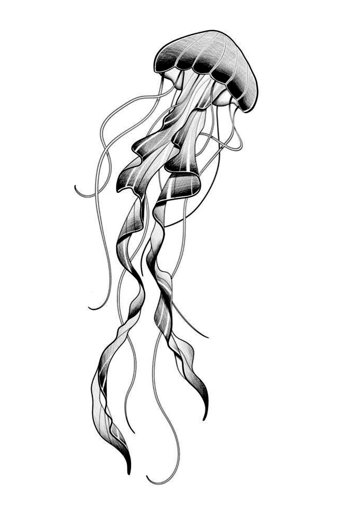 jellyfish tattoo ideas 0051