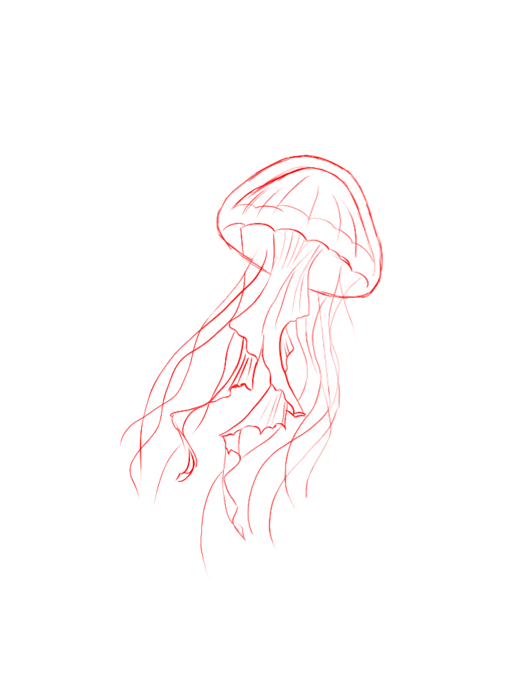 jellyfish tattoo ideas 0082