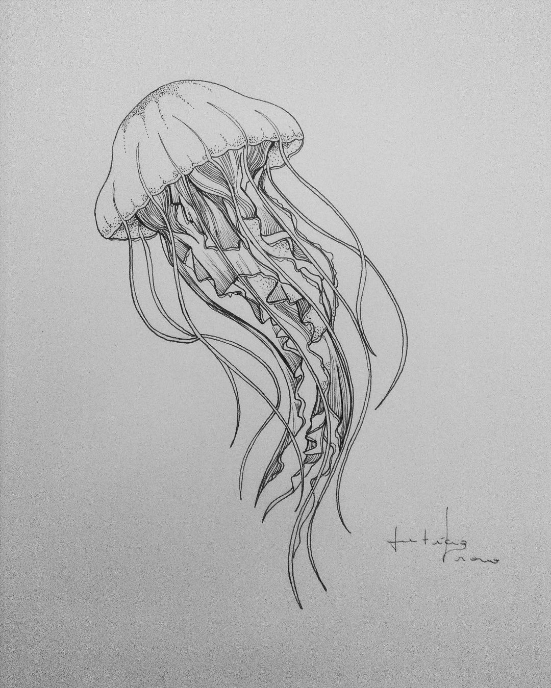 jellyfish tattoo ideas 0085