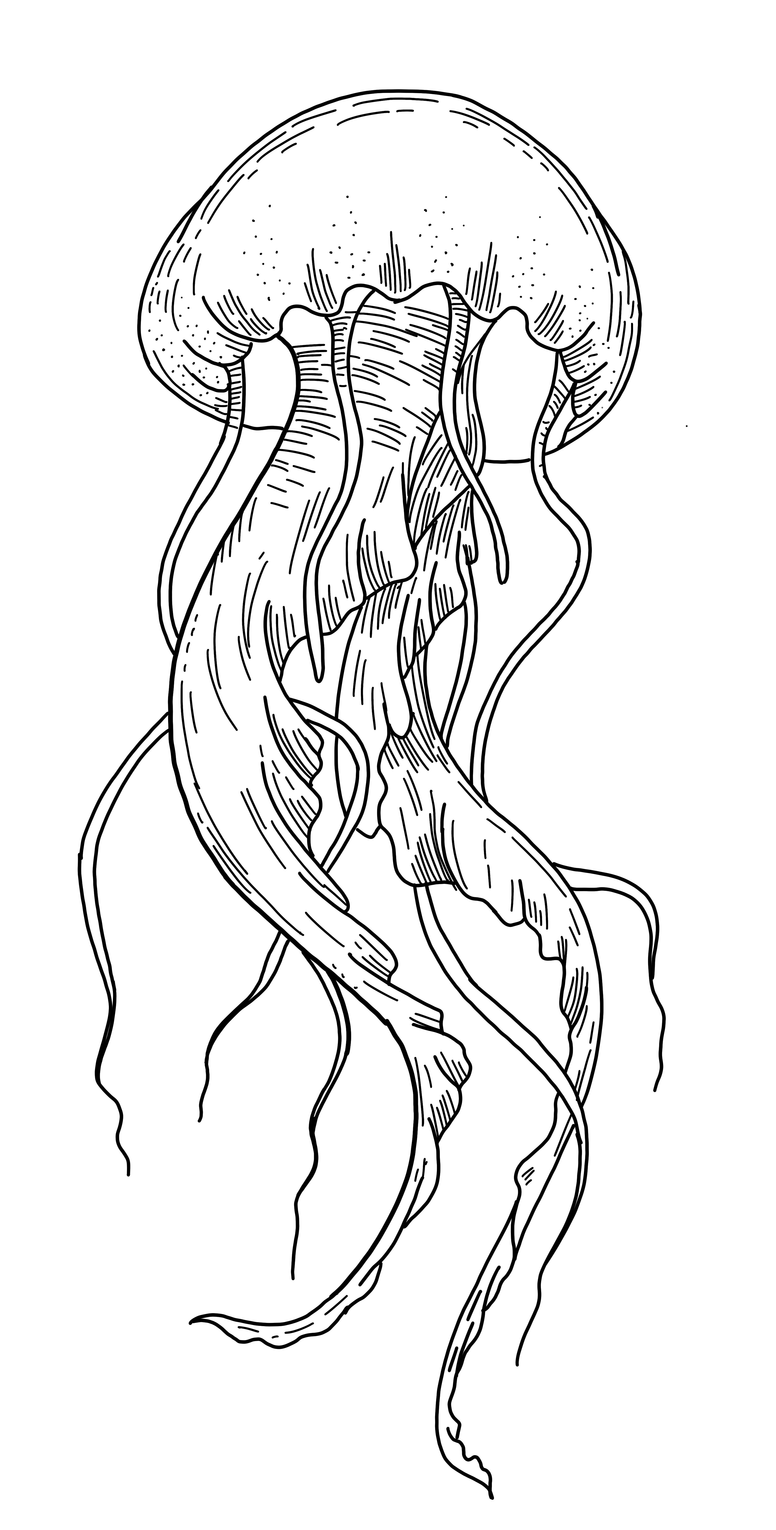 jellyfish tattoo ideas 0087