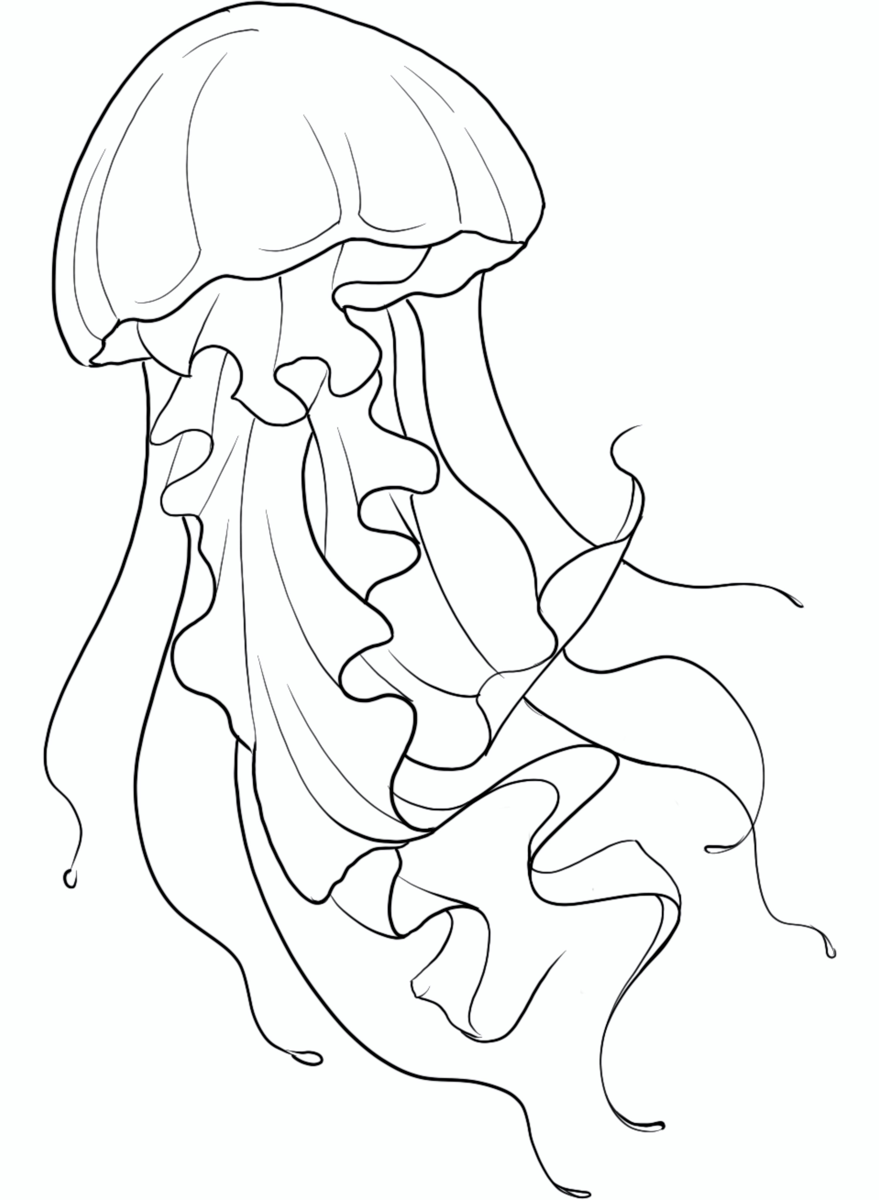 jellyfish tattoo ideas 0095