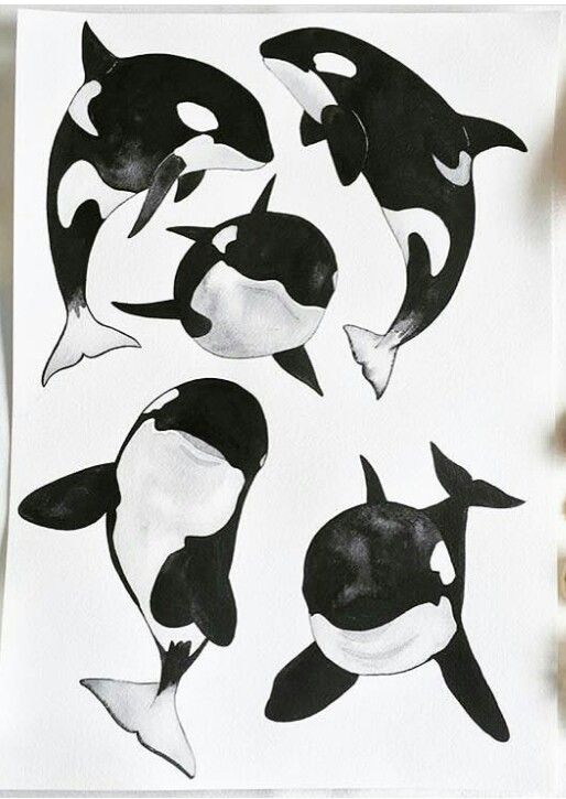 Killer whale tattoo ideas 0010