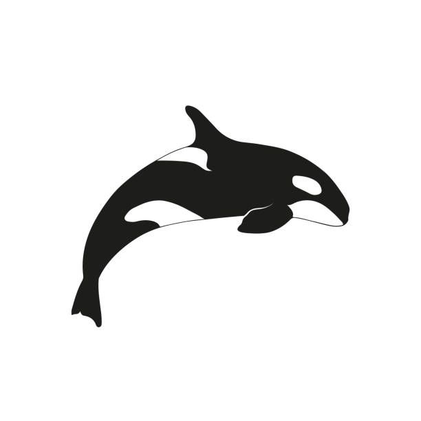 Killer whale tattoo ideas 0012