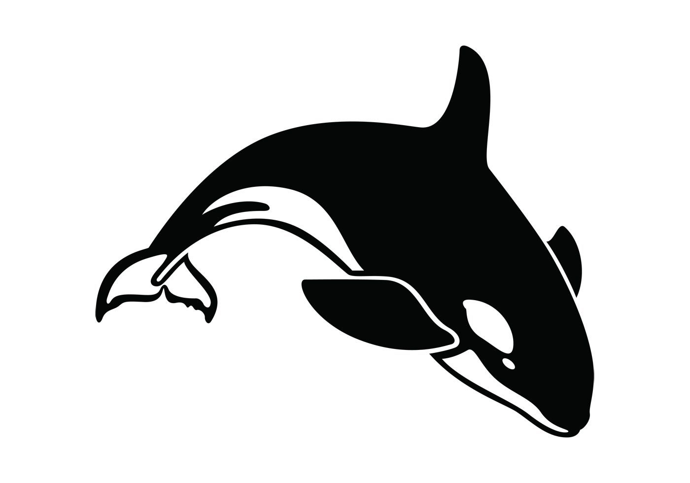 Killer whale tattoo ideas 0020