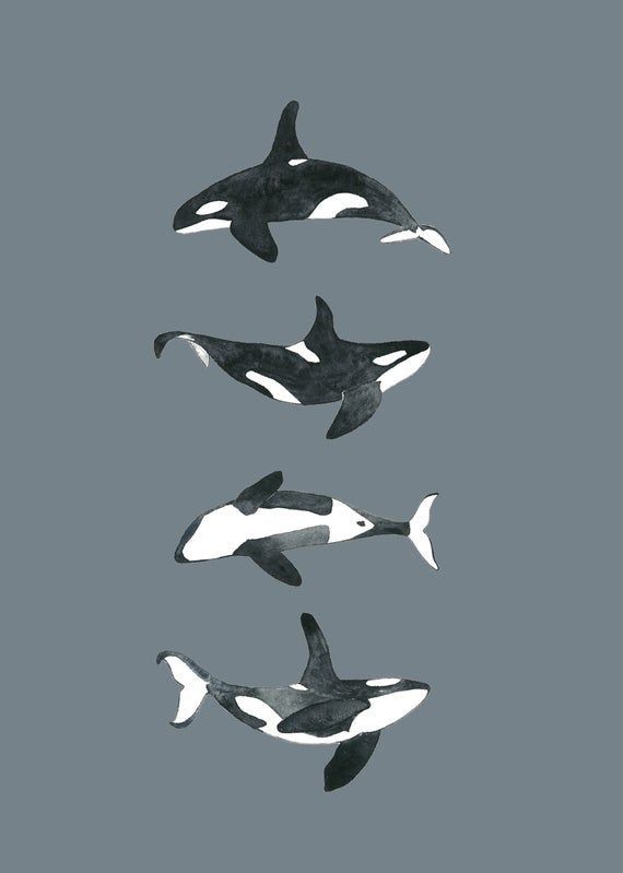 Killer whale tattoo ideas 0027