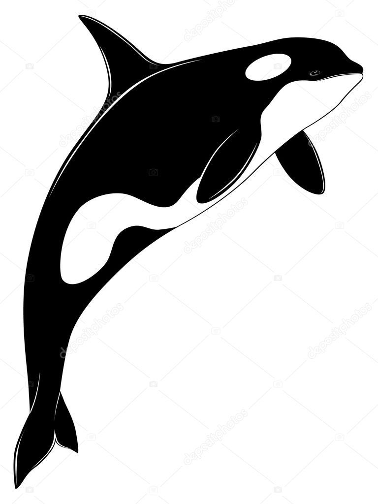 Killer whale tattoo ideas 0032