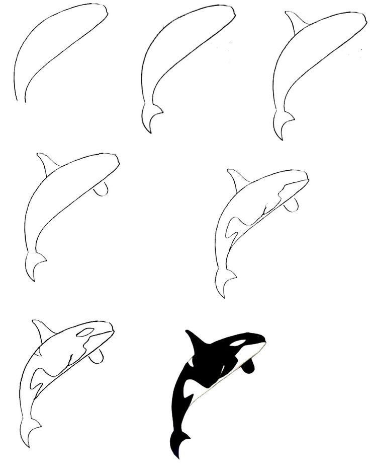 Killer whale tattoo ideas 0054