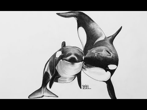 Killer whale tattoo ideas 0068