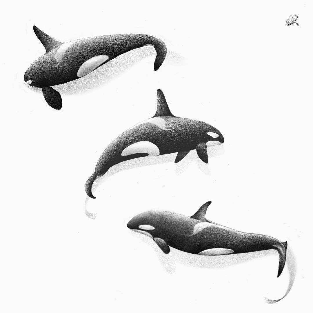 Killer whale tattoo ideas 0072