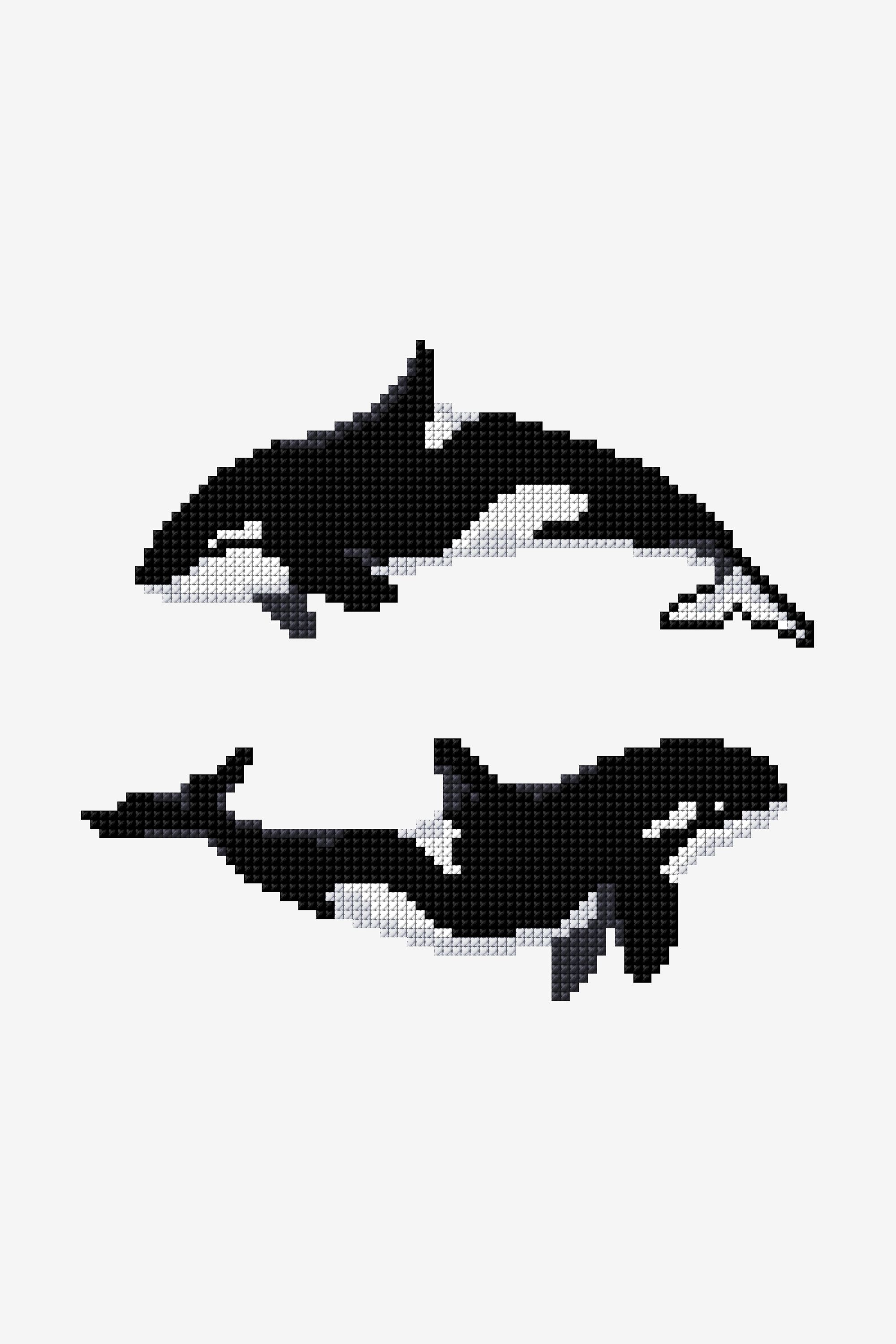 Killer whale tattoo ideas 0074