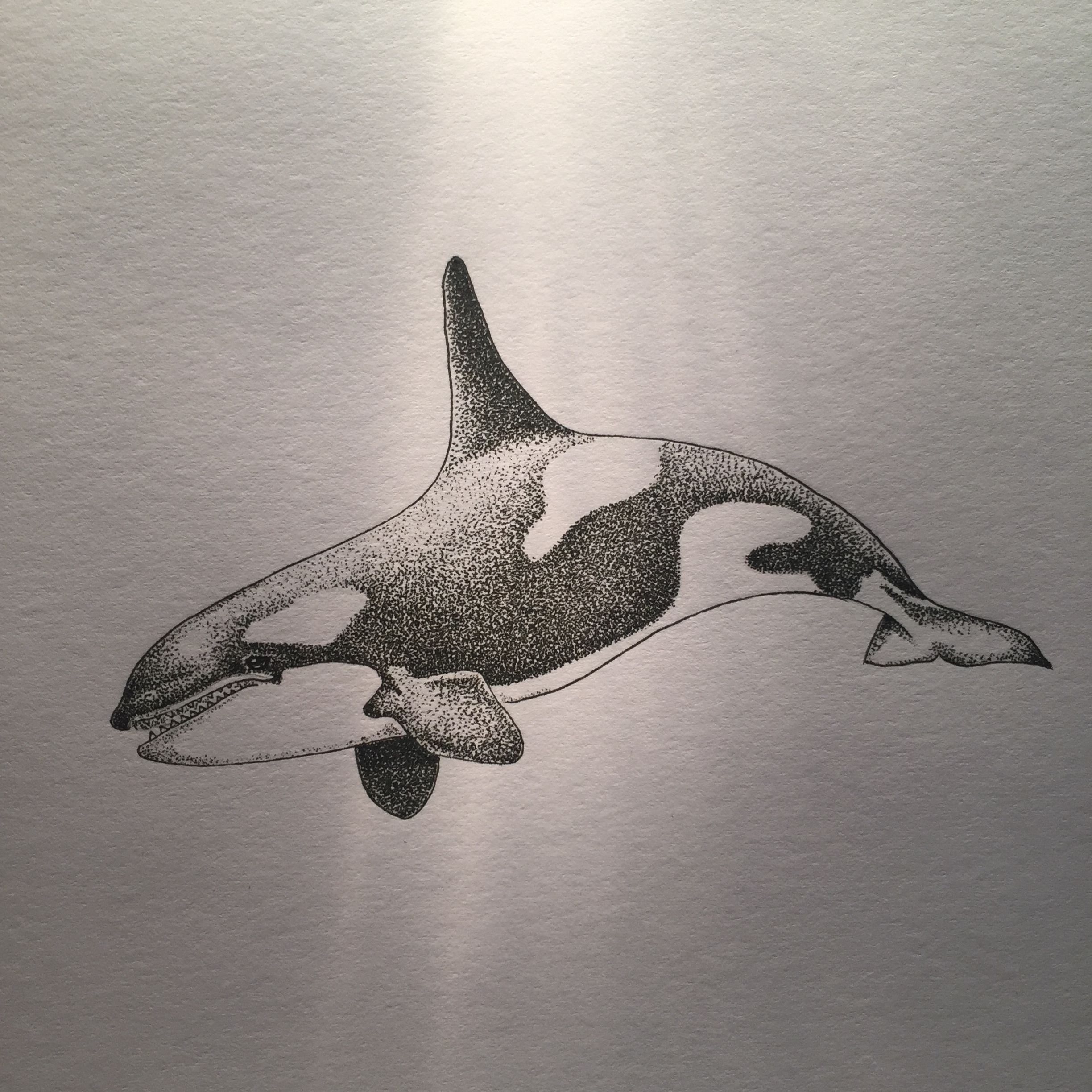 Killer whale tattoo ideas 0088