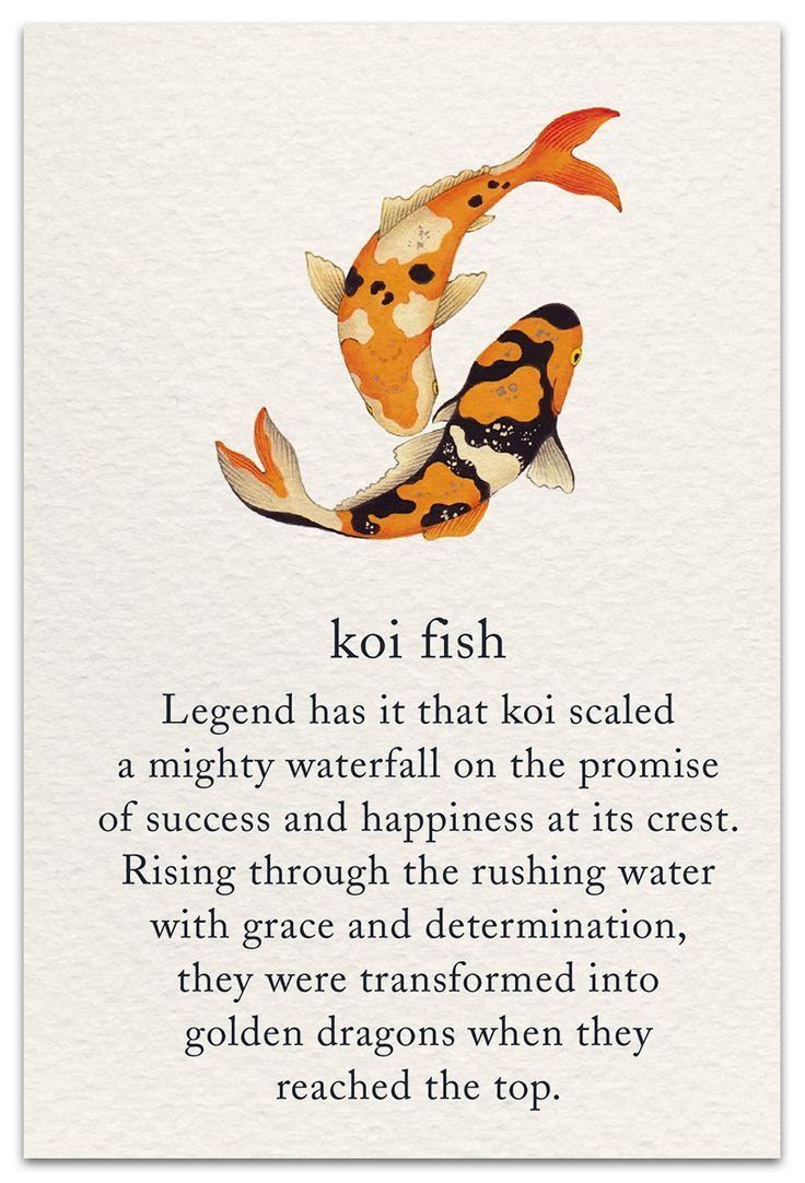 koi fish tattoo ideas 0020