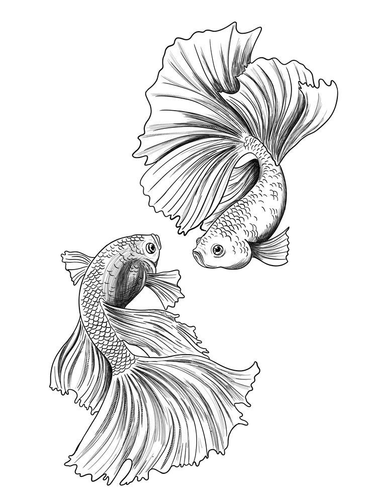 koi fish tattoo ideas 0071