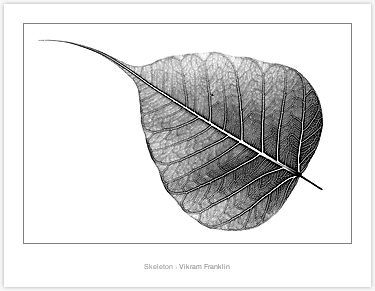 leaf tattoo ideas 0037