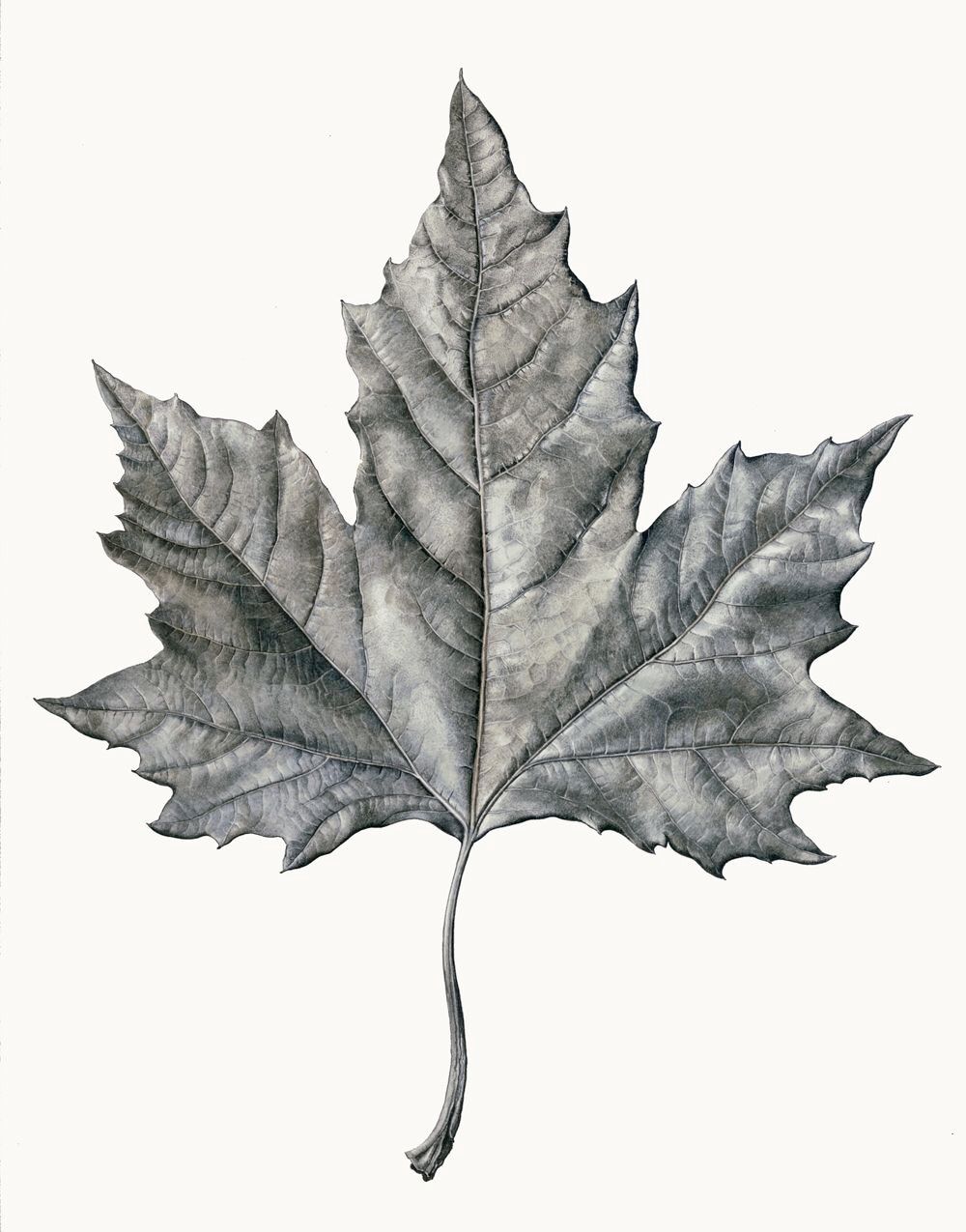 leaf tattoo ideas 0039