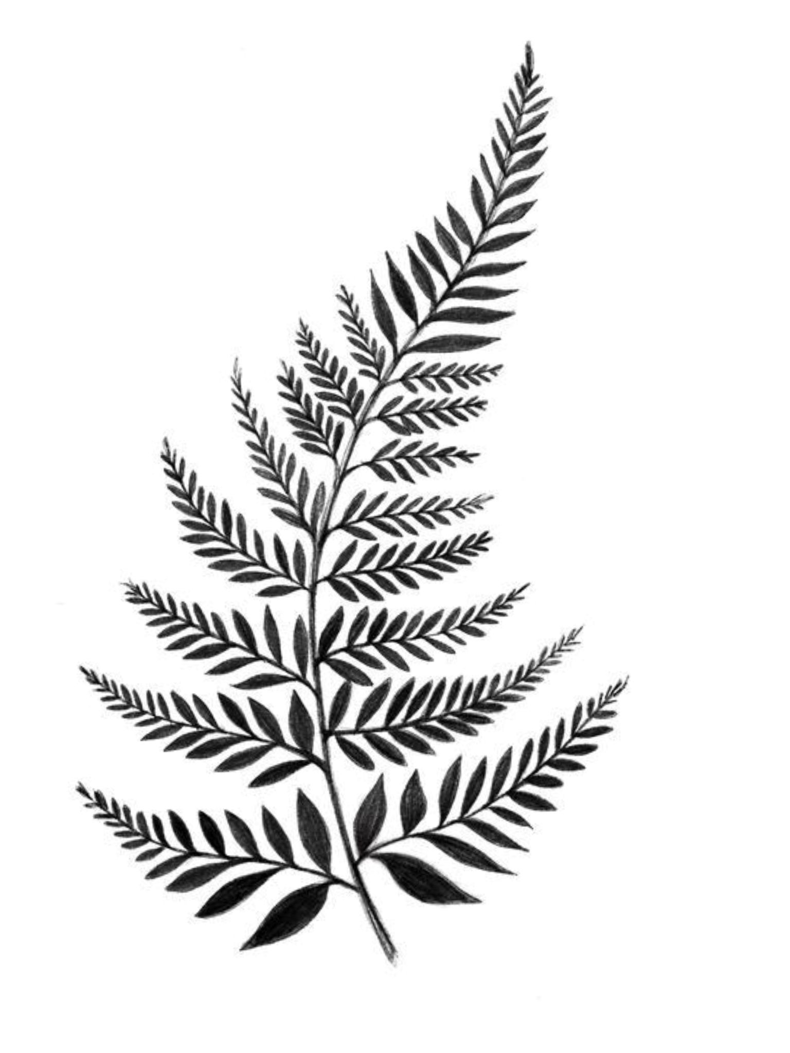 leaf tattoo ideas 0041