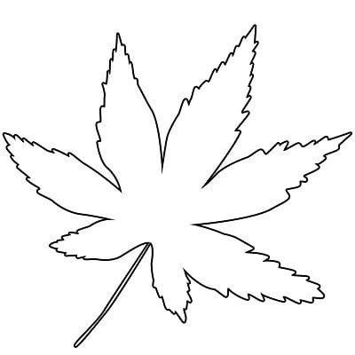 leaf tattoo ideas 0085