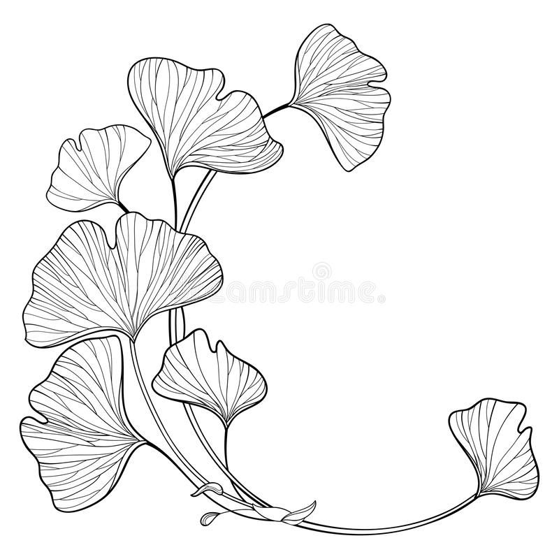 leaf tattoo ideas 0086