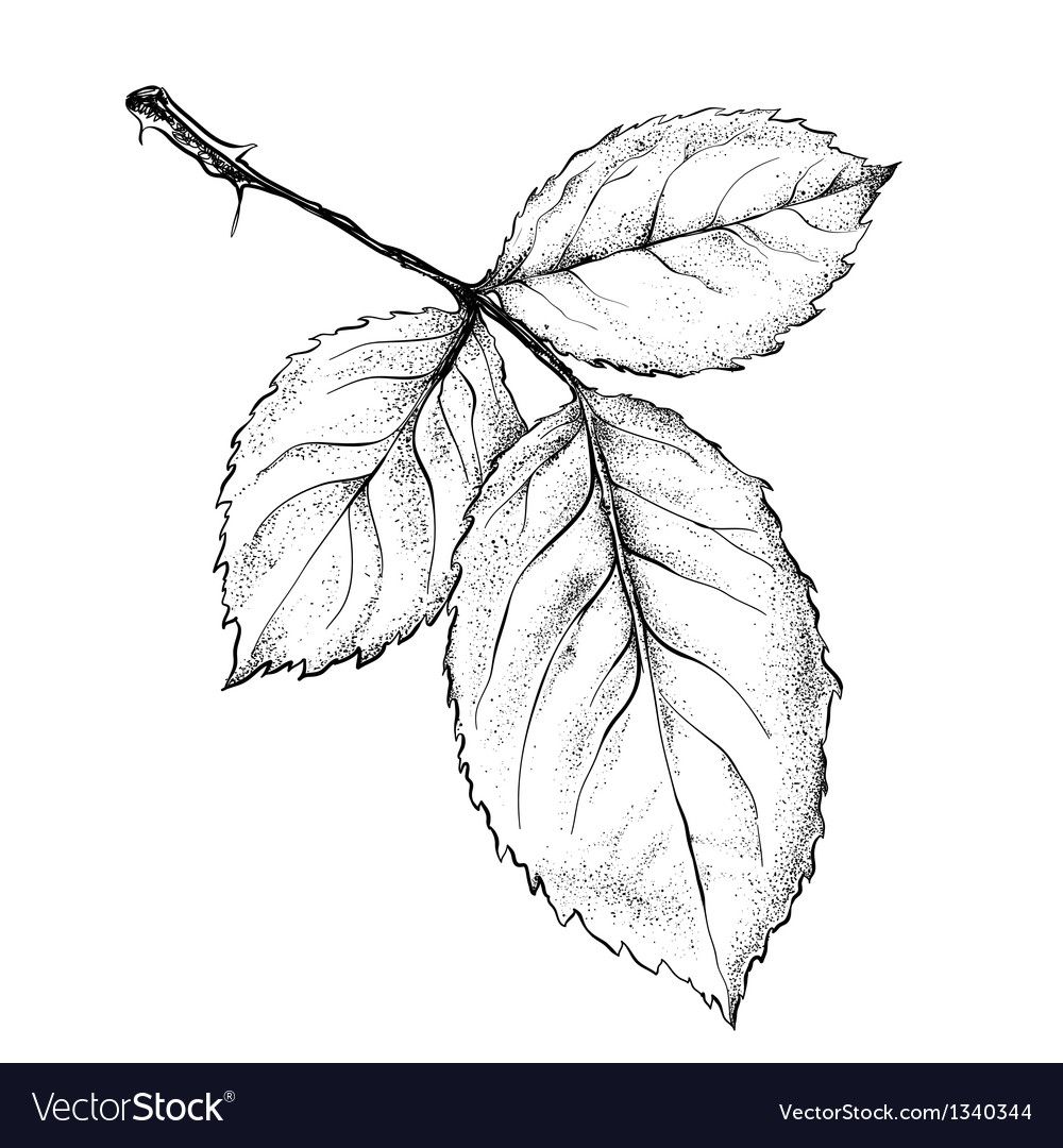 leaf tattoo ideas 0097