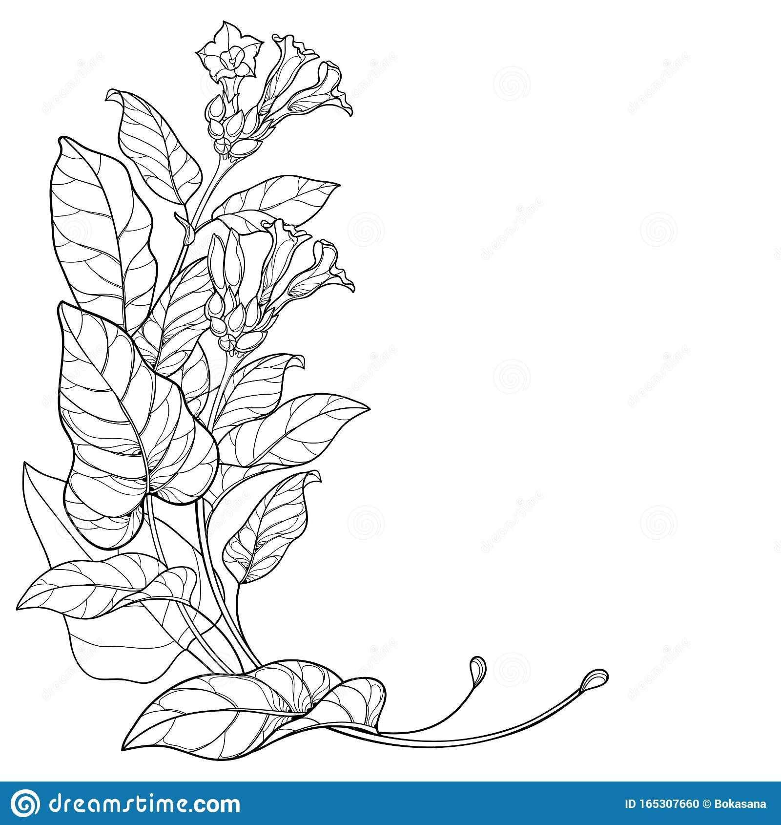 leaf tattoo ideas 0098