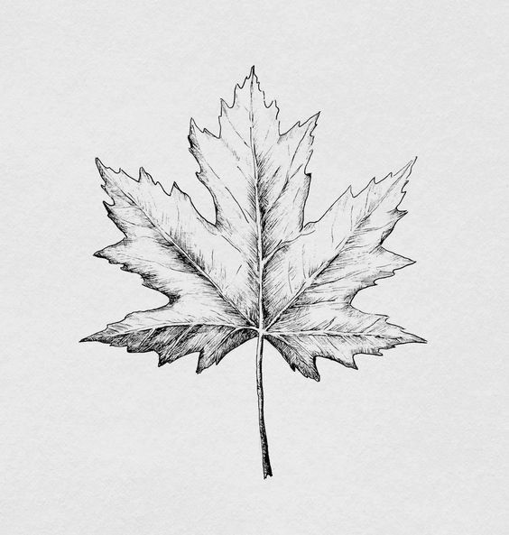 leaf tattoo ideas 0099