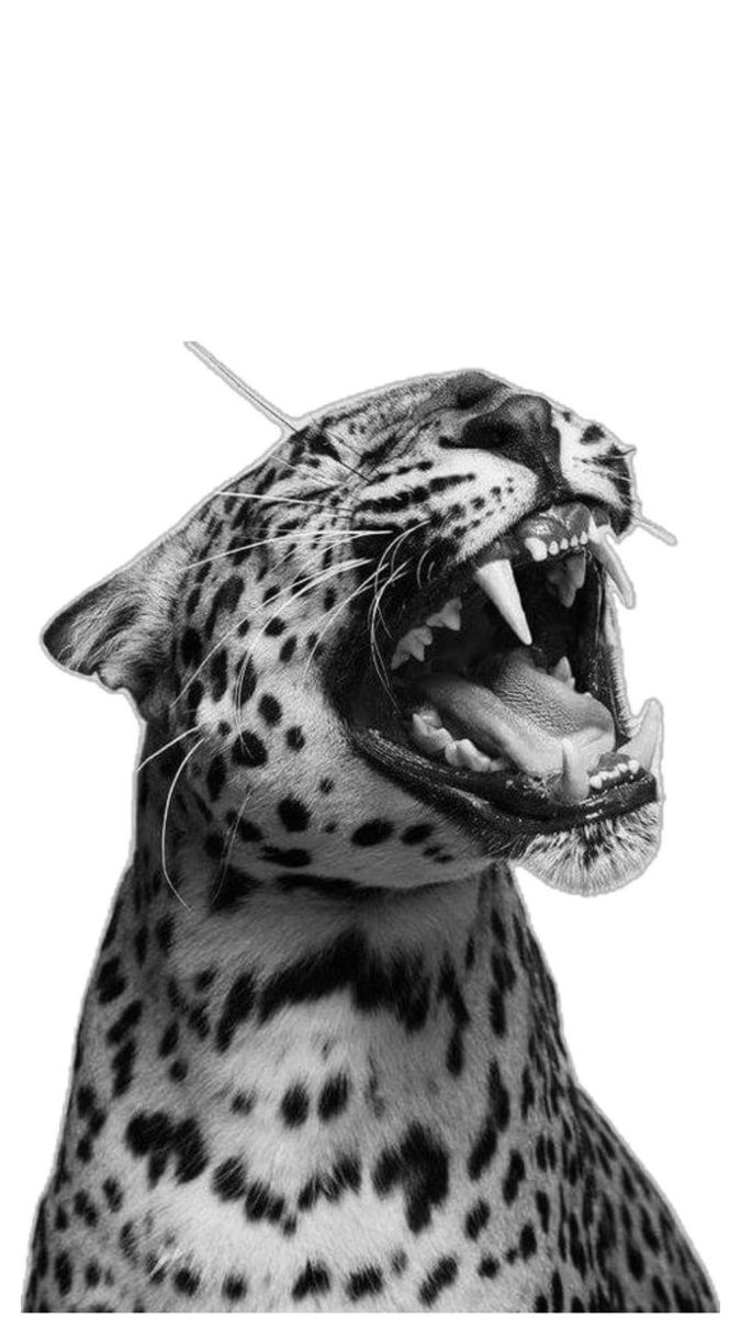 Leopard print tattoo ideas 0012