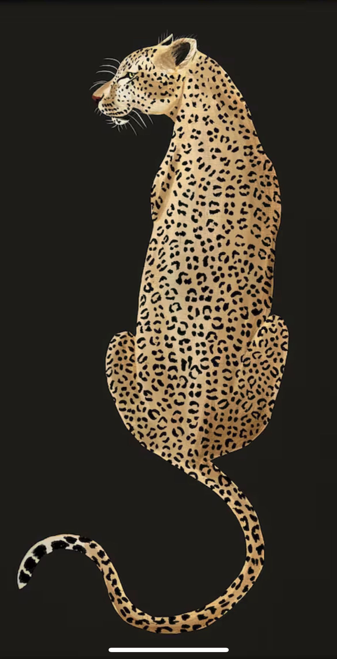 Leopard print tattoo ideas 0020