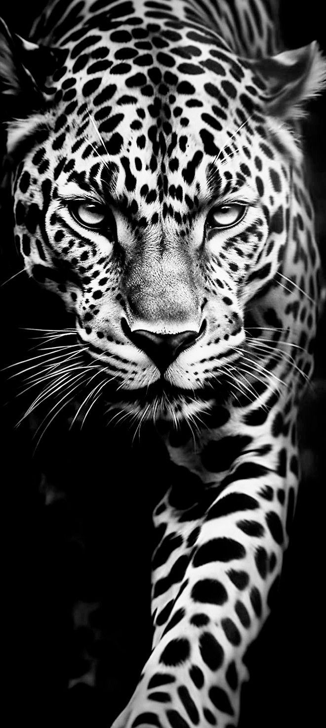 Leopard print tattoo ideas 0044