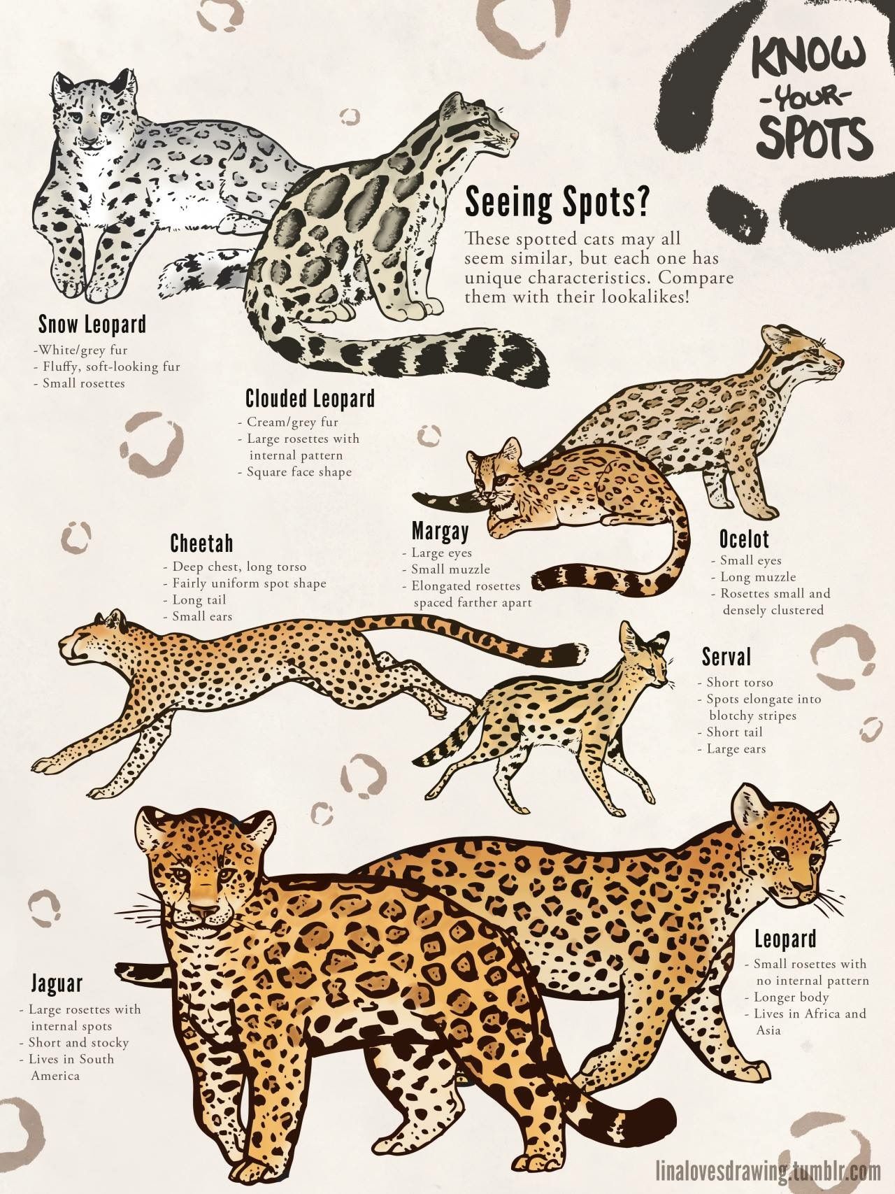 Leopard print tattoo ideas 0054