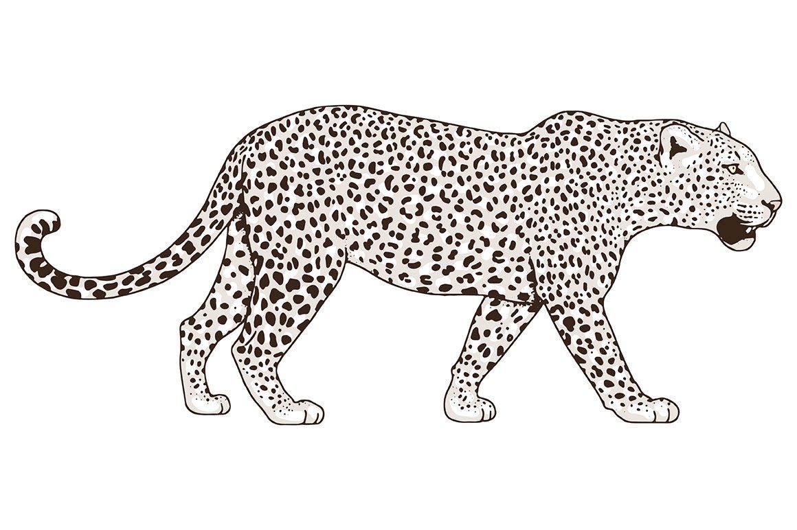 Leopard print tattoo ideas 0082