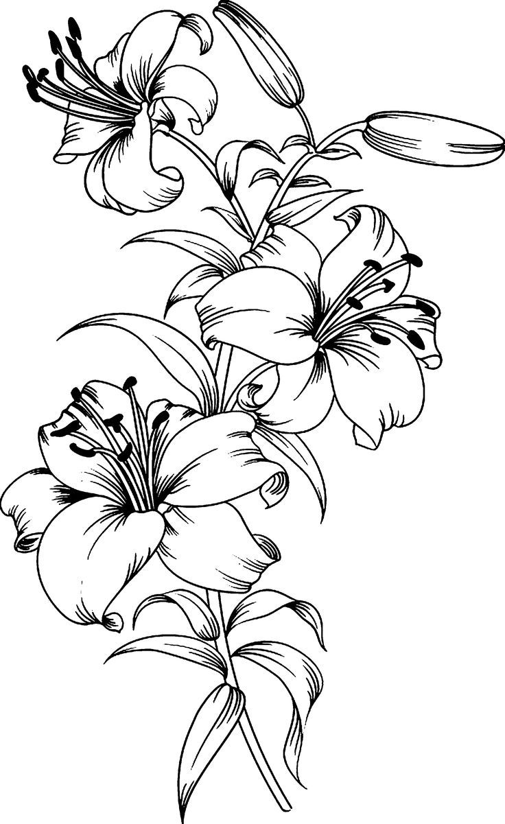 lily tattoo ideas 0014